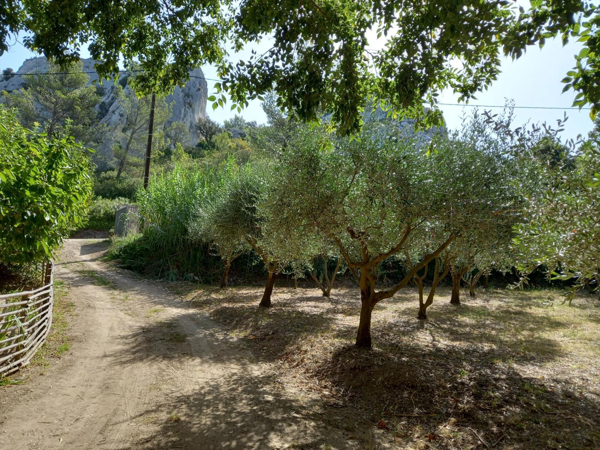 La Roulotte Du Petit Paradis Saint-Remy-de-Provence Exterior photo