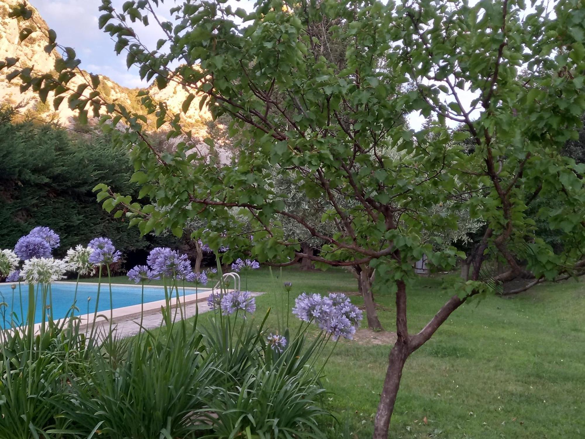 La Roulotte Du Petit Paradis Saint-Remy-de-Provence Exterior photo